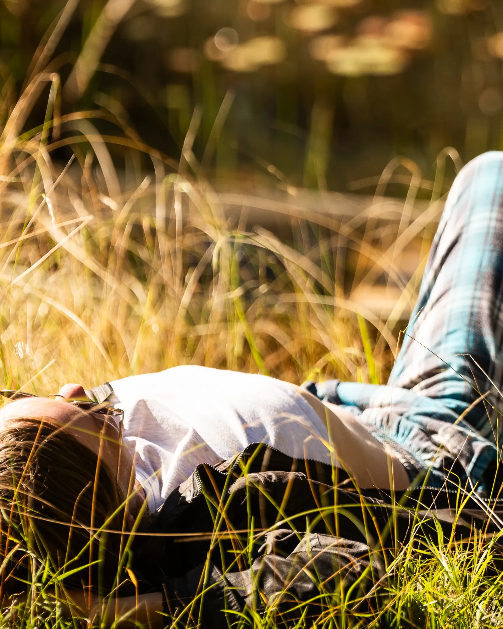 A guest lying in long golden grass in the sun