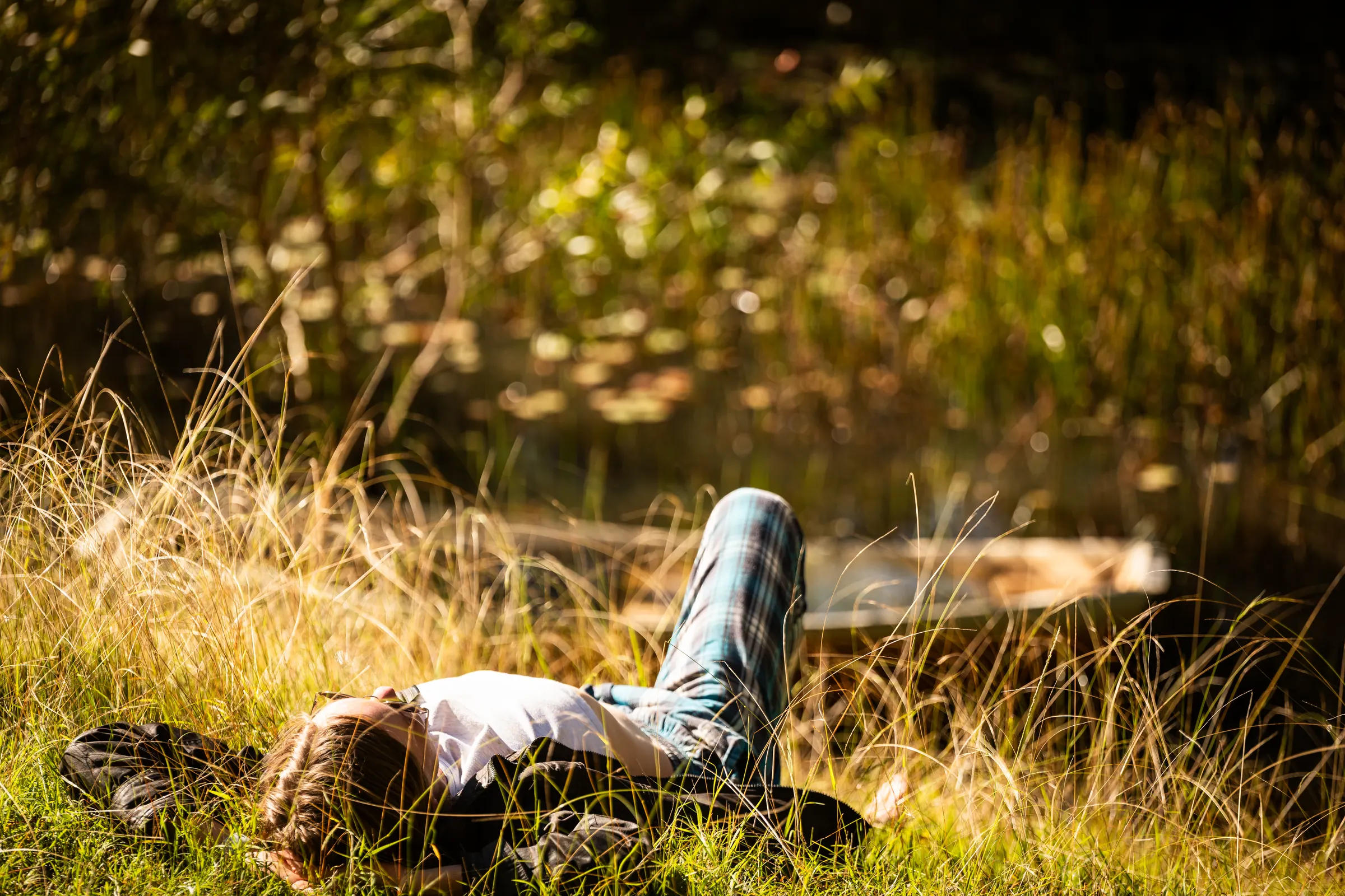 A guest lying in long golden grass in the sun