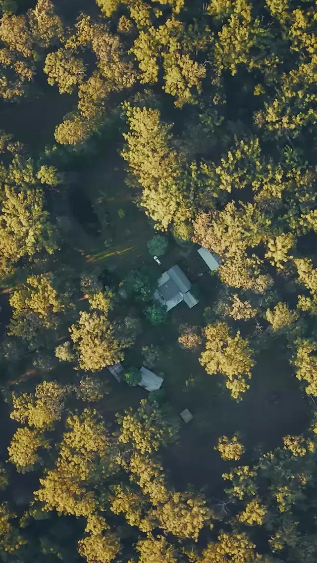 Looking straight down on the bush, with the Thrive homestead in a clearing among the trees