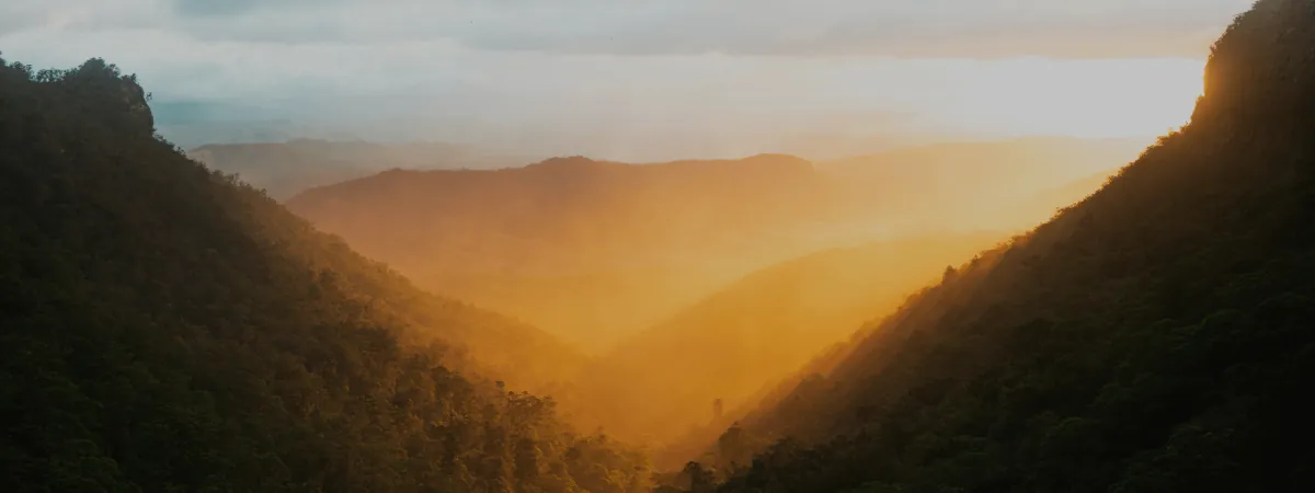 Late sun over a forested valley
